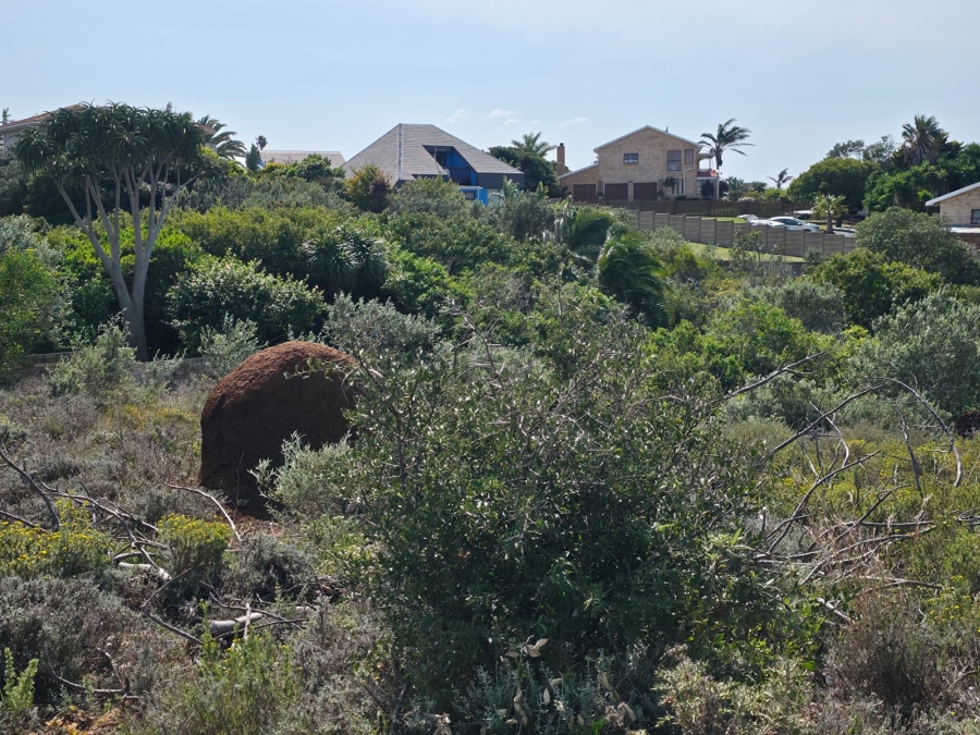 0 Bedroom Property for Sale in Noorsekloof Eastern Cape